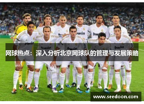 网球热点：深入分析北京网球队的管理与发展策略