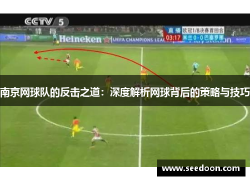 南京网球队的反击之道：深度解析网球背后的策略与技巧