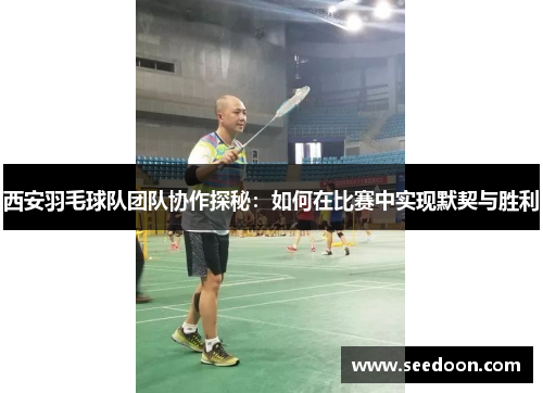 西安羽毛球队团队协作探秘：如何在比赛中实现默契与胜利