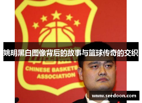 姚明黑白图像背后的故事与篮球传奇的交织