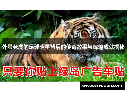 外号老虎的足球明星背后的传奇故事与辉煌成就揭秘