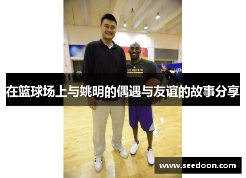 在篮球场上与姚明的偶遇与友谊的故事分享