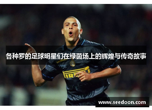 各种罗的足球明星们在绿茵场上的辉煌与传奇故事