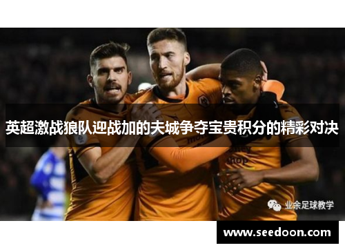 英超激战狼队迎战加的夫城争夺宝贵积分的精彩对决